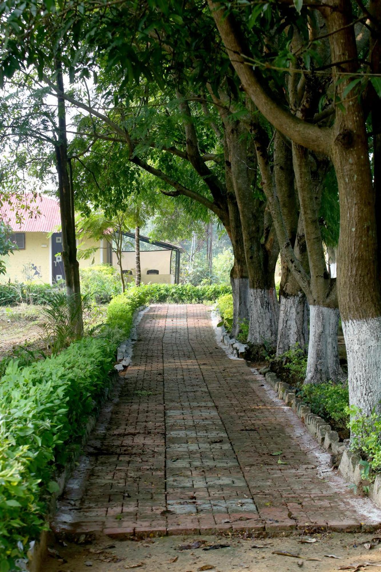 Tribal Wood Resort Dhanwār Eksteriør bilde