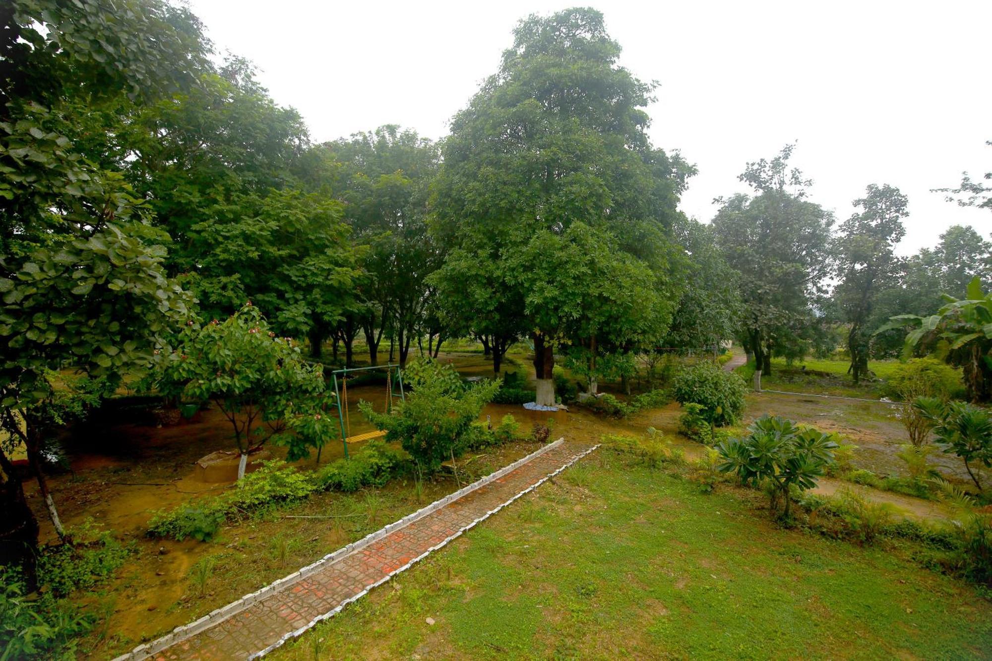 Tribal Wood Resort Dhanwār Eksteriør bilde